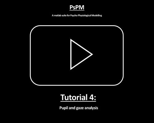 PsPM Tutorial 4