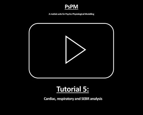 PsPM Tutorial 5